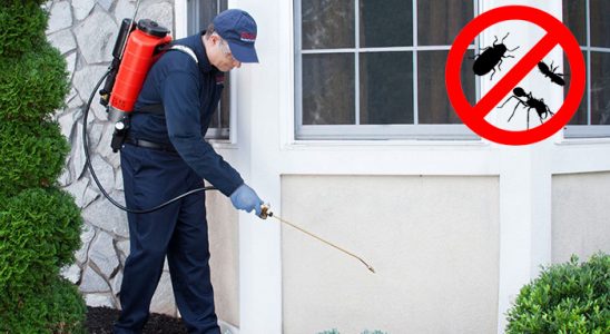 Alaçam Fare İlaçlama böcek ilaçlama ve haşere kontrolü — ilaclama-tr.com